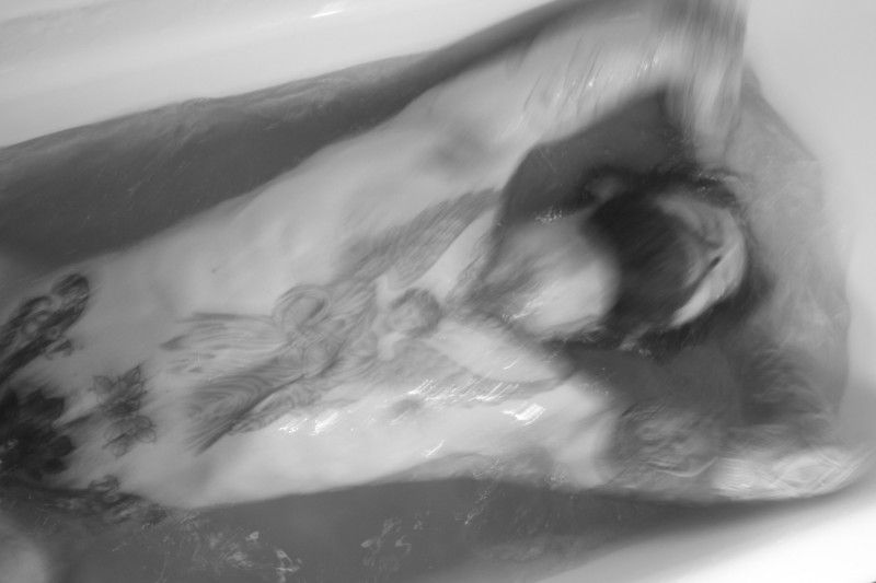 Levi photo